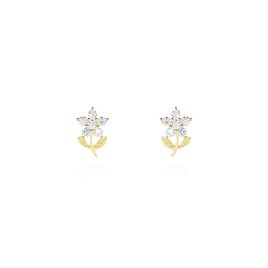 Boucles D'oreilles Puces Eleanor Fleur Or Jaune Oxyde De Zirconium - Clous d'oreilles Femme | Histoire d’Or