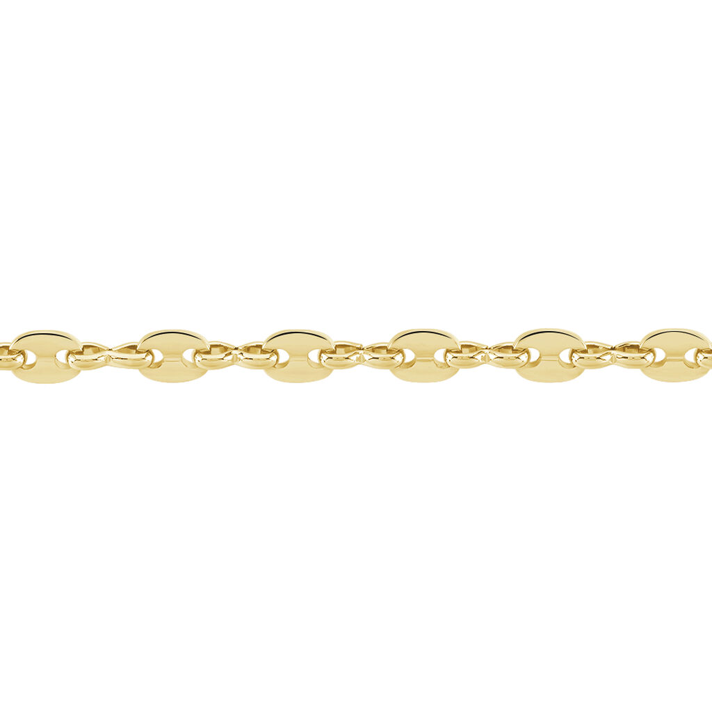 Collier William Plaqué Or Jaune