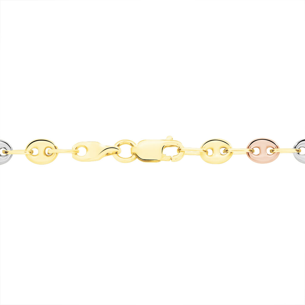 Collier Maille Dami Maille Grain De Cafe Or Tricolore - Chaines Femme | Histoire d’Or
