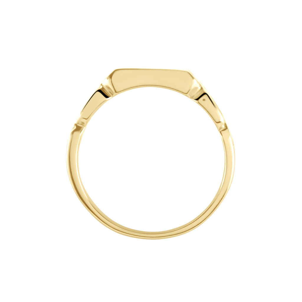 Chevali&egrave;re Tobias Plaqu&eacute; Or Jaune - Chevali&egrave;res Homme | Histoire d&rsquo;Or