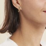 Boucles D'oreilles Pendantes Fulvie Coeurs Et Dauphin Or Jaune - Boucles d'oreilles pendantes Femme | Histoire d&rsquo;Or
