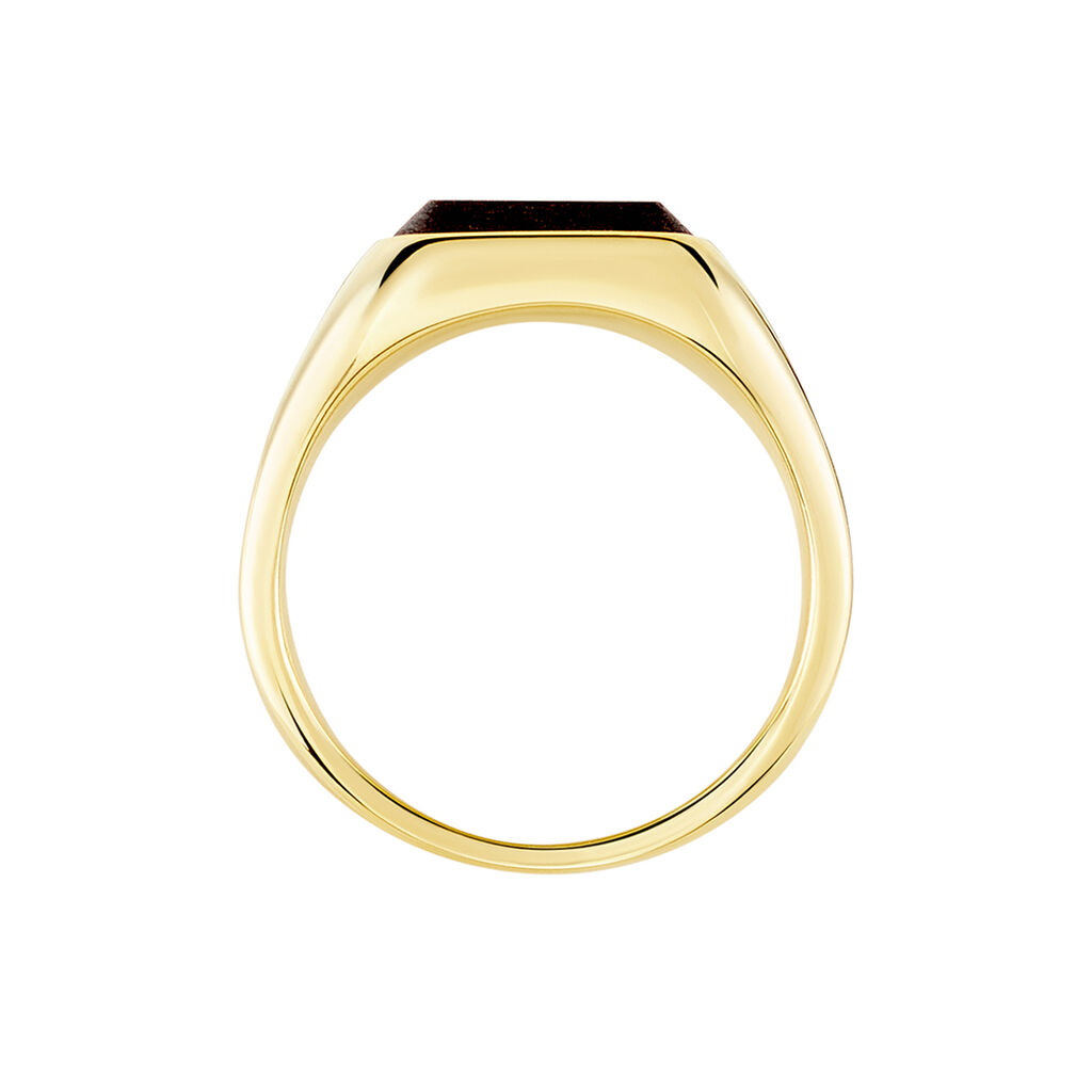 Chevali&egrave;re Blake Acier Dor&eacute; - Chevali&egrave;res Homme | Histoire d&rsquo;Or