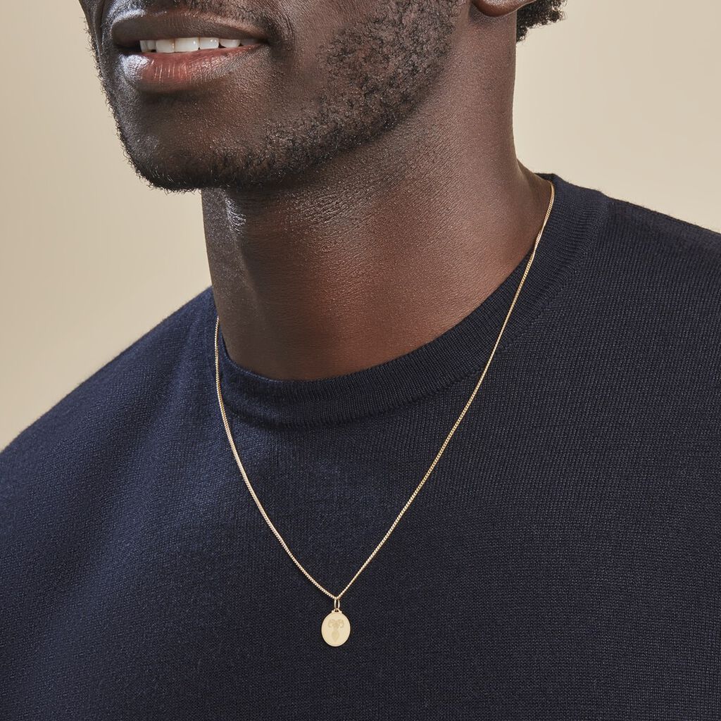 Pendentif Lamie Zodiaque Or Jaune - Pendentifs Zodiaque Unisex | Histoire d’Or