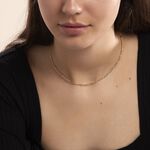 Collier Cameo Maille Altern&eacute;e 1/3 Or Jaune - Chaines Femme | Histoire d&rsquo;Or