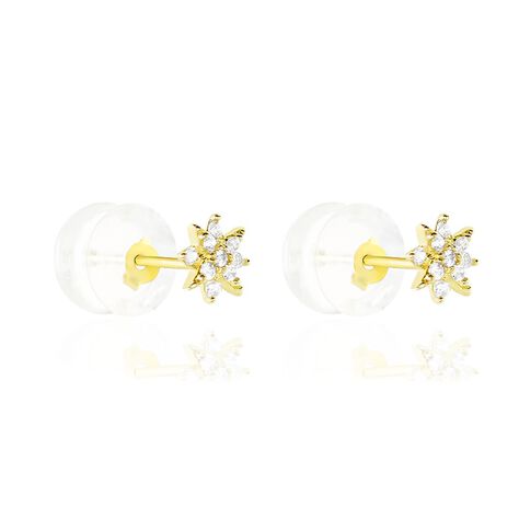 Boucles D'oreilles Puces Aubepine Or Jaune Oxyde - Clous d'oreilles Femme | Histoire d’Or