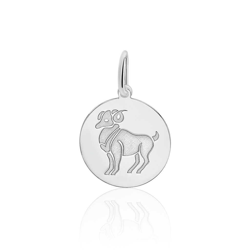 Pendentif Zodiaque Rond Argent Blanc - Pendentifs Zodiaque Famille | Histoire d’Or