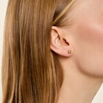 Boucles D'Oreilles Puces Gennaro Argent Dor&eacute; A L'Or 750/1000 - Boucles d'oreilles fantaisie Femme | Histoire d&rsquo;Or