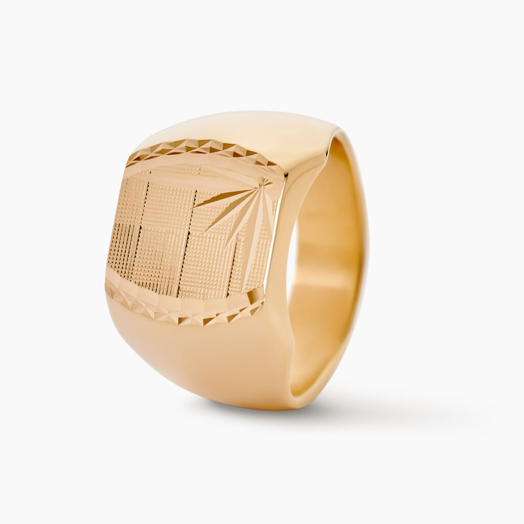 Chevali&egrave;re Leoncette Plaqu&eacute; Or Jaune - Chevali&egrave;res Homme | Histoire d&rsquo;Or