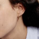 Cr&eacute;oles Youri Or Jaune - Boucles d'oreilles cr&eacute;oles Femme | Histoire d&rsquo;Or