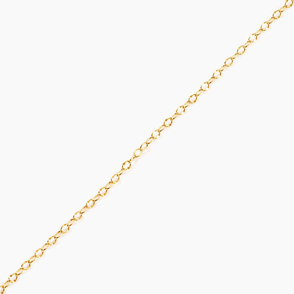 Chaine Or Jaune Pilea - Chaines Femme | Histoire d’Or