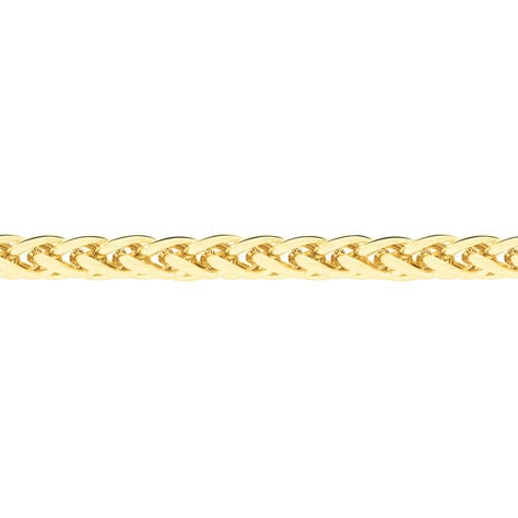 Collier Jany Danilo Maille Palmier Or Jaune - Chaines Femme | Histoire d’Or