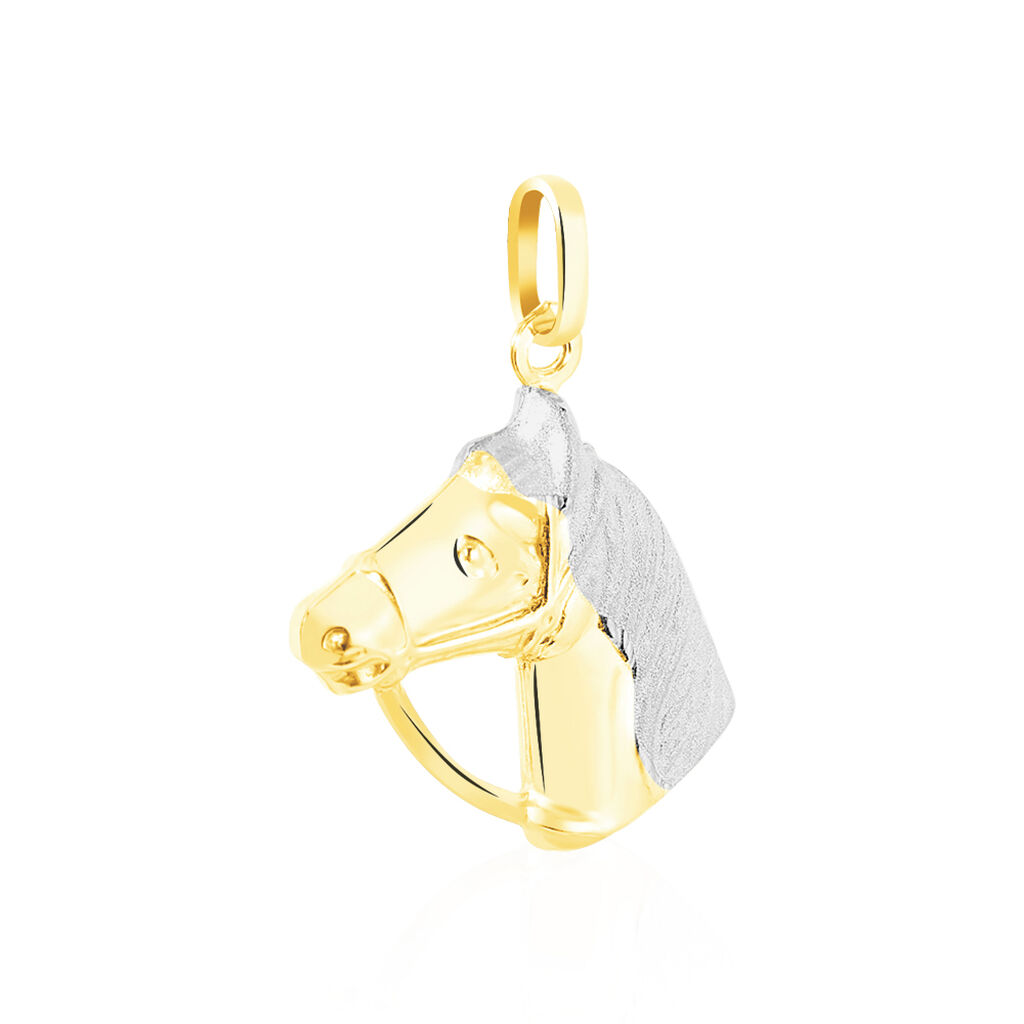 Pendentif Egide Cheval Or Bicolore - Pendentifs Famille | Histoire d’Or