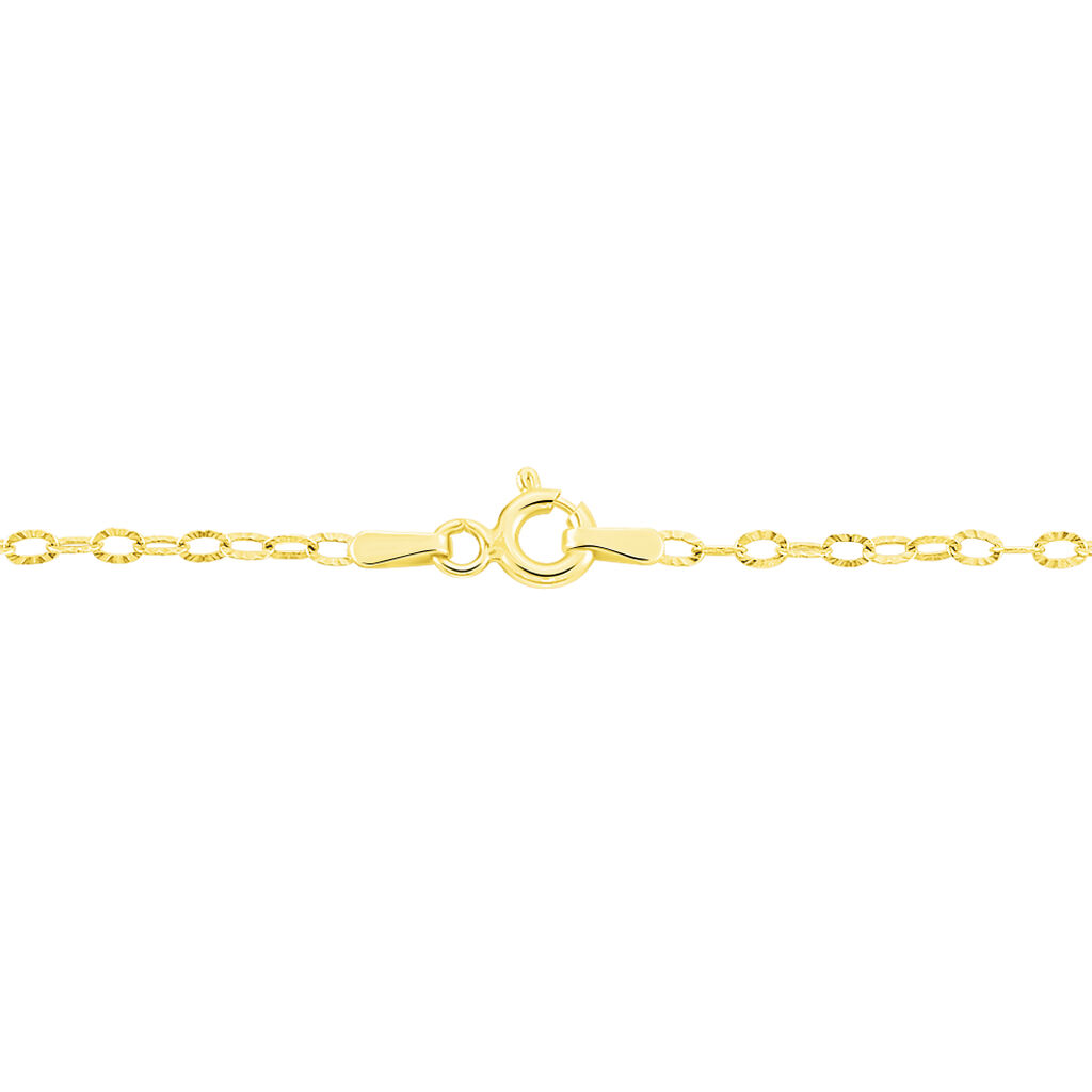 Chaîne Forçat Or Jaune - Chaines Femme | Histoire d’Or