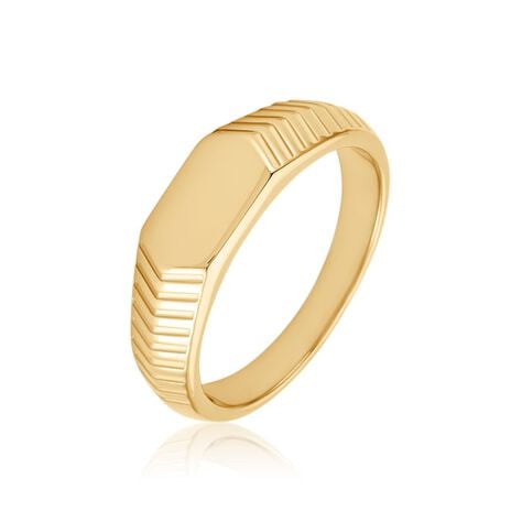 Chevali&egrave;re Jaye Plaqu&eacute; Or Jaune - Chevali&egrave;res Homme | Histoire d&rsquo;Or