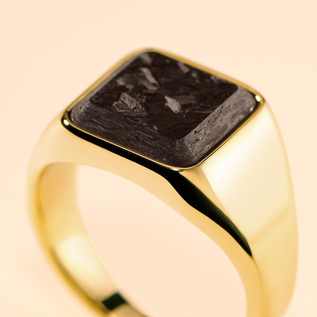 Chevali&egrave;re Blake Acier Dor&eacute; - Chevali&egrave;res Homme | Histoire d&rsquo;Or