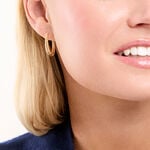 Cr&eacute;oles Ribbed Plaqu&eacute; Or Jaune - Cr&eacute;oles fantaisie Femme | Histoire d&rsquo;Or