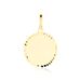 Pendentif Hikaru Or Jaune - Pendentifs Famille | Histoire d’Or