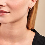 Cr&eacute;oles Shiny Garden Or Jaune Oxyde De Zirconium - Boucles d'oreilles cr&eacute;oles Femme | Histoire d&rsquo;Or