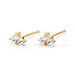 Boucles D'oreilles Puces Amandia Or Jaune Oxyde De Zirconium - Clous d'oreilles Femme | Histoire d’Or