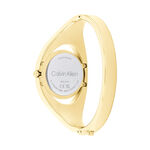 Montre Calvin Klein Elated Champagne - Montres Femme | Histoire d&rsquo;Or