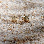 Boucles D'oreilles Puces Almahae Tortue Or Jaune - Clous d'oreilles Famille | Histoire d&rsquo;Or
