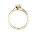 Bague Solitaire Hemera Or Jaune Diamant Synthetique