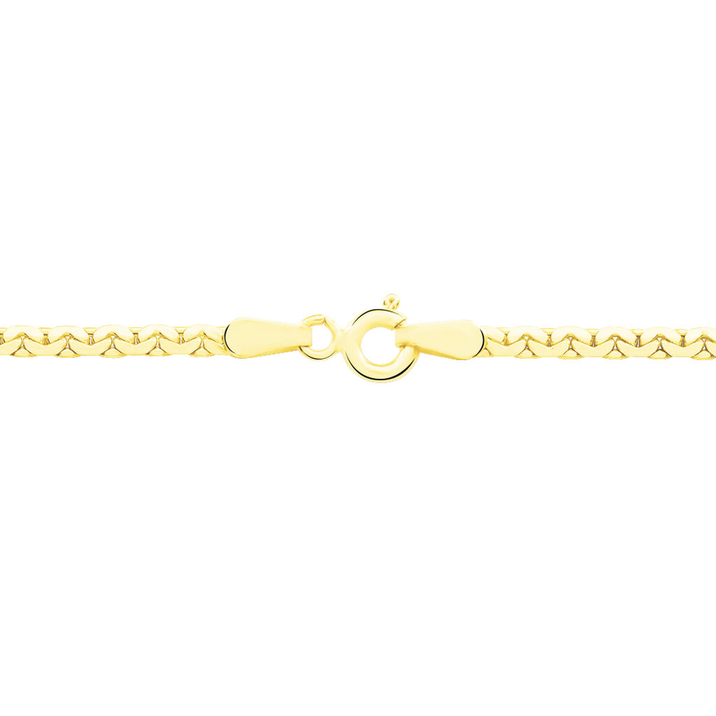 Collier Ivy Maille Haricot Or Jaune - Chaines Femme | Histoire d&rsquo;Or