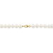 Bracelet Macy Or Jaune Perle De Culture - Bracelets Femme | Histoire d’Or