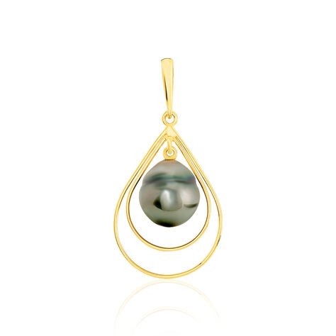 Pendentif Martyna Or Jaune Perle De Culture De Tahiti - Pendentifs Femme | Histoire d’Or