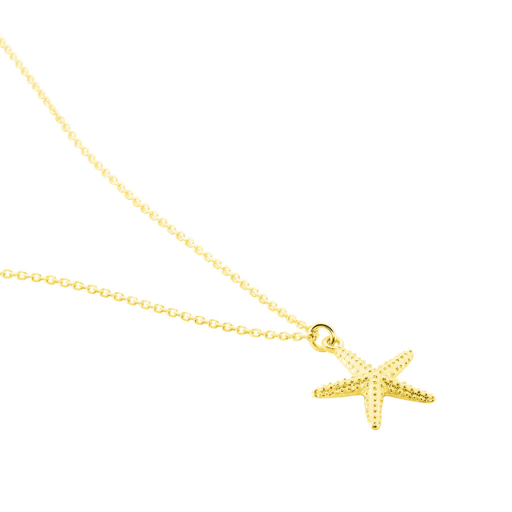 Collier Or Jaune Aenor Motif Etoile De Mer - Colliers Femme | Histoire d’Or