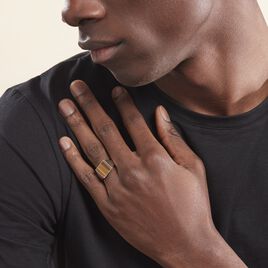 Chevalière Argent Blanc Atilio Oeil De Tigre - Bagues solitaires Homme | Histoire d’Or