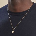 Pendentif Egide Cheval Or Bicolore - Pendentifs Famille | Histoire d&rsquo;Or