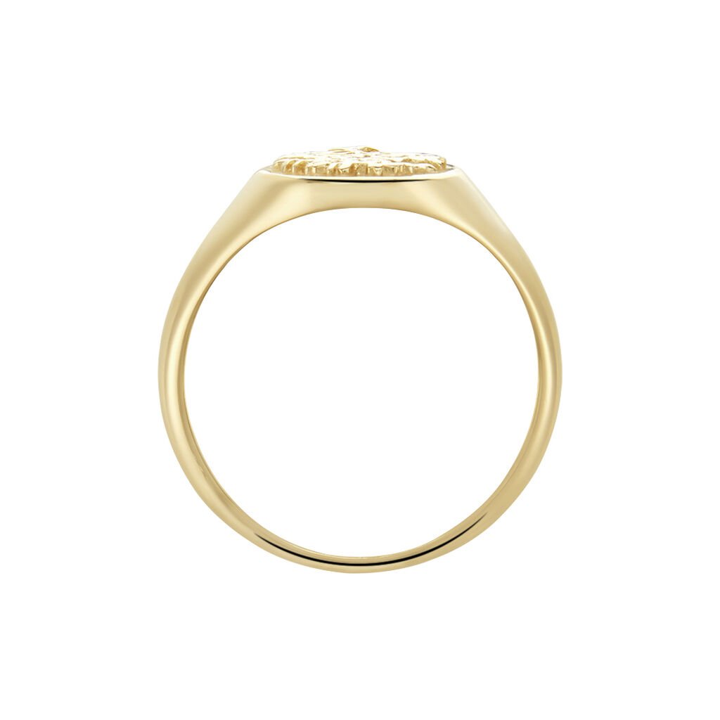 Chevali&egrave;re Plaqu&eacute; Or Jaune Imbor - Chevali&egrave;res Femme | Histoire d&rsquo;Or