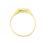 Chevali&egrave;re Ayliz Or Jaune - Chevali&egrave;res Famille | Histoire d&rsquo;Or