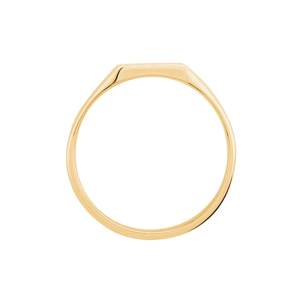 Chevali&egrave;re Daniel Plaqu&eacute; Or Jaune - Chevali&egrave;res Homme | Histoire d&rsquo;Or