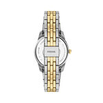 Montre Fossil Scarlette Noir - Montres Femme | Histoire d&rsquo;Or