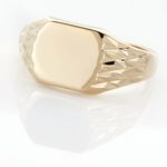 Chevali&egrave;re Leons Plaqu&eacute; Or - Chevali&egrave;res Homme | Histoire d&rsquo;Or