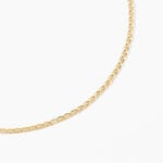 Collier Capucin Argent Dor&eacute; A L'Or 750/1000 - Bijoux sans pierre Homme | Histoire d&rsquo;Or