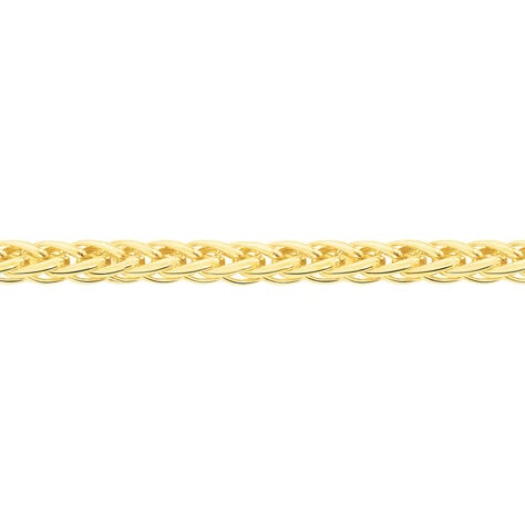 Bracelet Jany Maille Palmier Or Jaune - Chaines Femme | Histoire d’Or