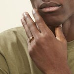 Chevaliere Maxime Or Jaune Oxyde - Bagues solitaires Famille | Histoire d&rsquo;Or