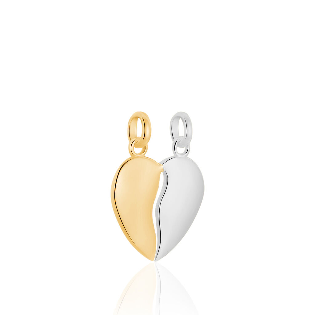 Pendentif Marie-stephanie Plaqué Or Bicolore - Pendentifs Femme | Histoire d’Or
