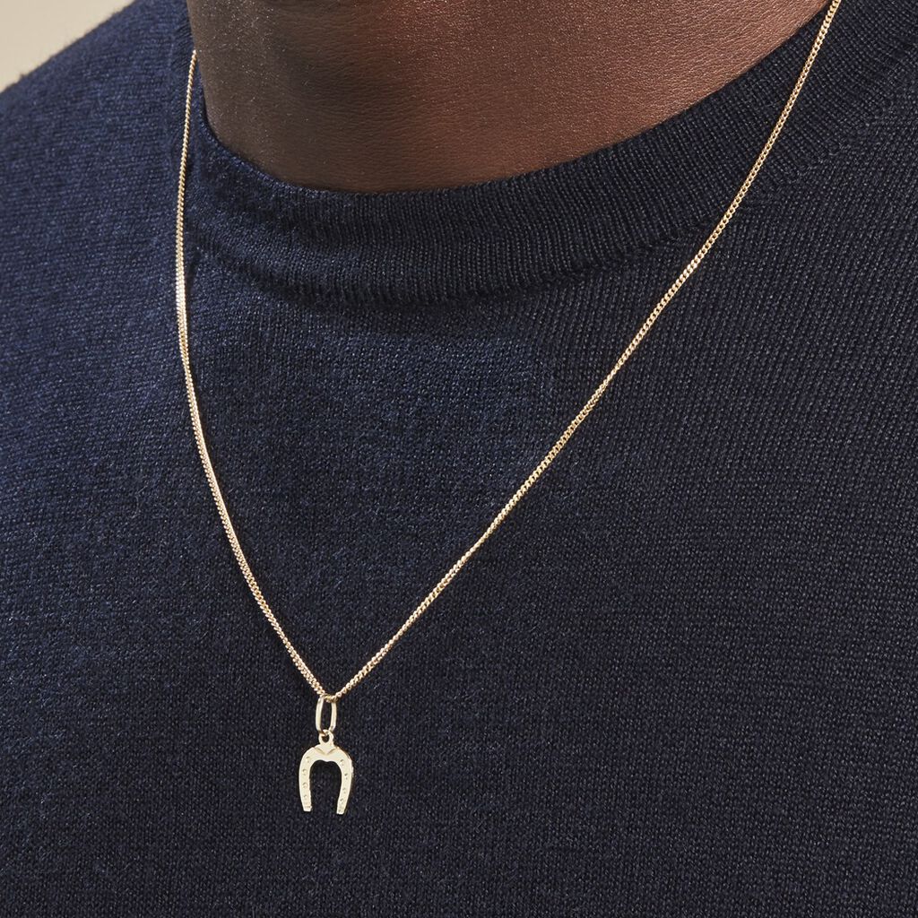 Pendentif Egide Fer A Cheval Or Jaune - Pendentifs Famille | Histoire d’Or