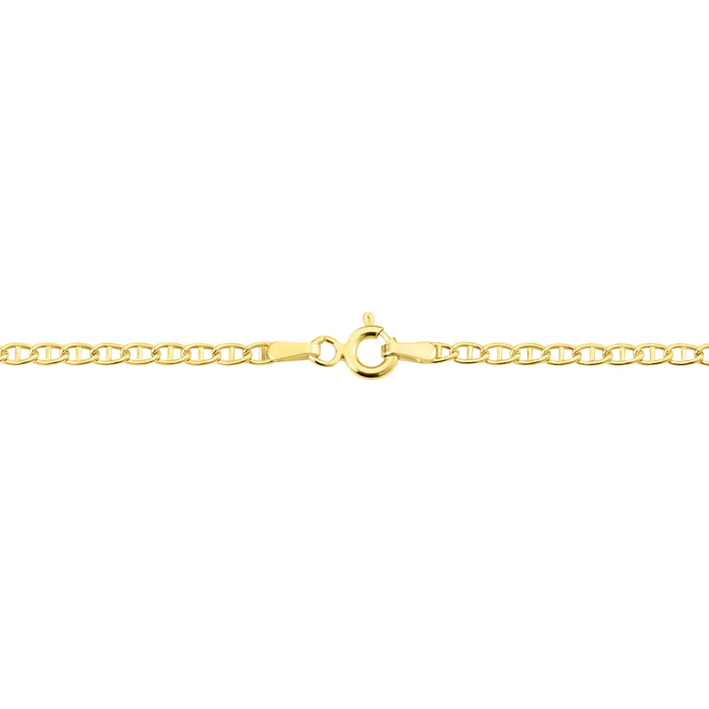 Collier Capucin Or Jaune Maille Marine Plate - Chaines Homme | Histoire d&rsquo;Or