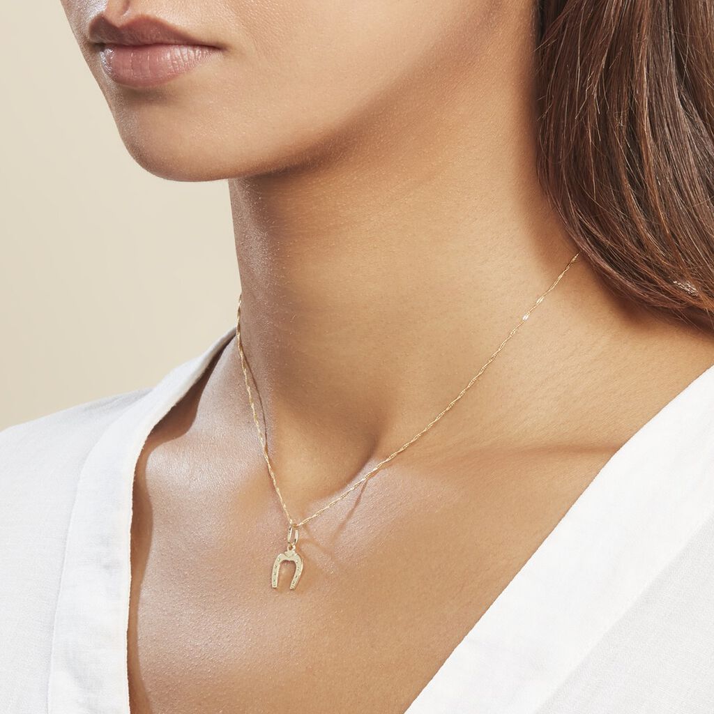 Pendentif Egide Fer A Cheval Or Jaune - Pendentifs Famille | Histoire d’Or