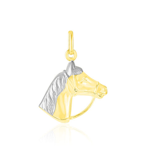 Pendentif Egide Cheval Or Bicolore - Pendentifs Famille | Histoire d&rsquo;Or