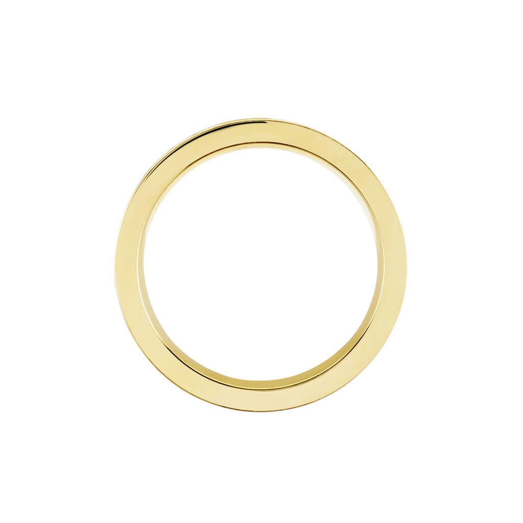 Bague Andro Acier Bicolore - Bagues fantaisie Homme | Histoire d’Or