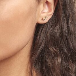 Boucles D'oreilles Puces Ael Or Jaune Oxyde De Zirconium - Clous d'oreilles Femme | Histoire d’Or