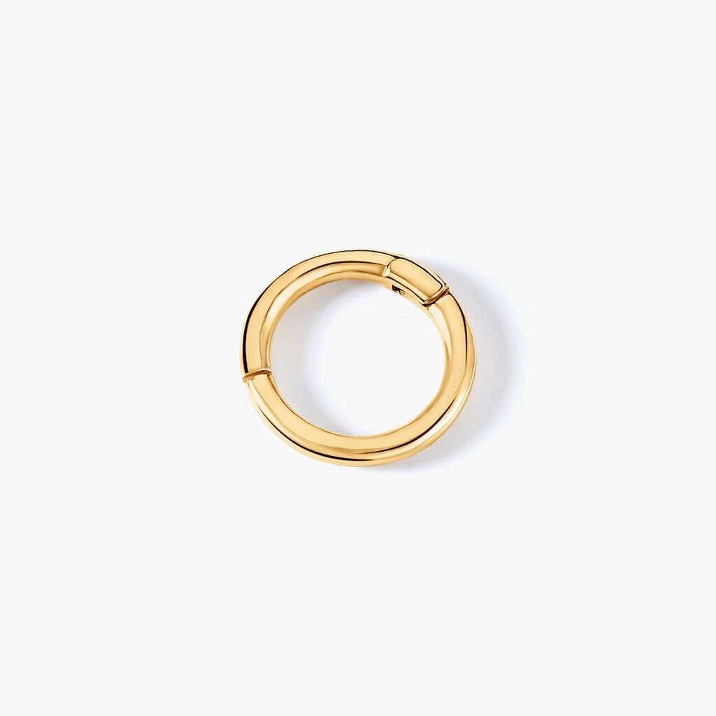 Piercing D'oreille Unitaire Aloes Or Jaune - Bijoux Femme | Histoire d’Or