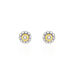 Boucles D'oreilles Puces Charletta Or Jaune Diamant - Clous d'oreilles Femme | Histoire d’Or