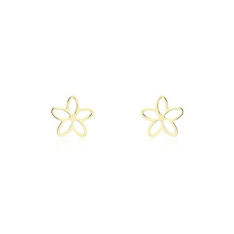 Boucles D'oreilles Puces Dacre Or Jaune - Clous d'oreilles Femme | Histoire d’Or